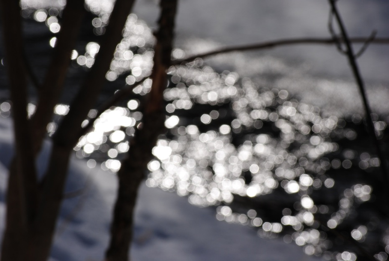 Illustration for article titled Shooting Challenge: Bokeh, Gallery 3